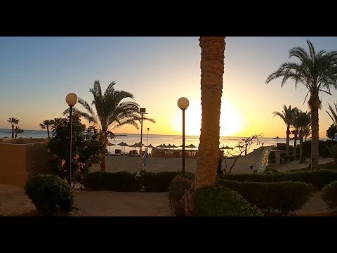 Ägypten 2023, Blue Reef Resort, Marsa Alam