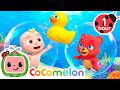 Animal Swimming Song 🫧 CoComelon Animal Time Nursery Rhymes And Kids Songs After School Club