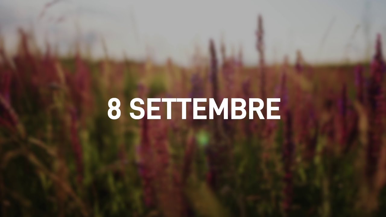 8 Settembre 2025 | Meditazione Parole di Vita