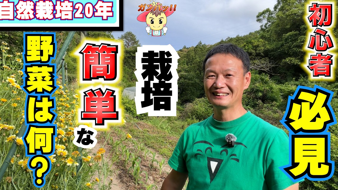 自然栽培の初心者向け野菜と適地適作