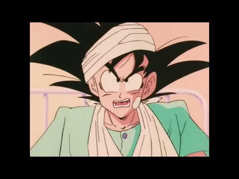 Fo shizzle master rizzle (Team four star)