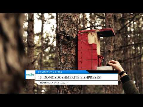 13. Domosdoshmëritë e shpresës - Lexime nga libri: ''Sëmundja dhe ilaçi''