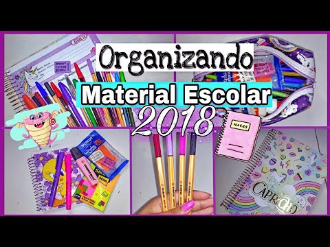 Organizando MEU MATERIAL ESCOLAR 2018 📚💖