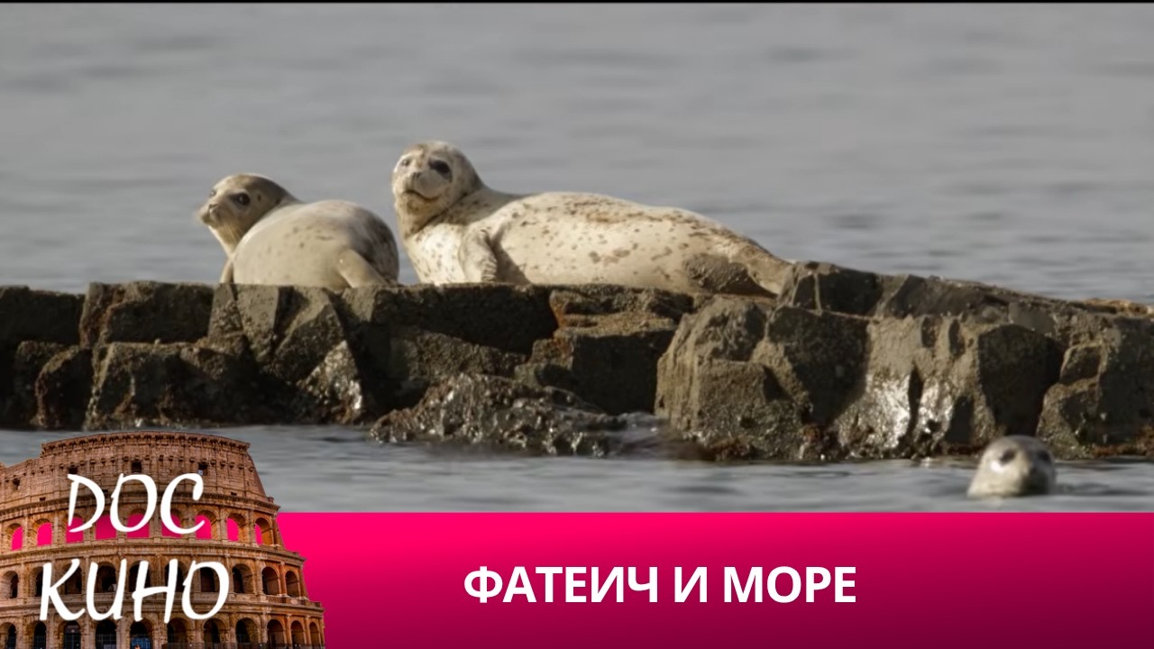 🎭ФАТЕИЧ И МОРЕ🌎 ДОКУМЕНТАЛЬНОЕ КИНО 🎆 2018