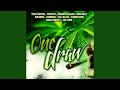 Ganja Head