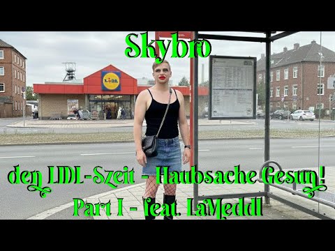 Skybro - den LIDL-Szeit - Haubsache Gesun!  - Part I - feat. LaMeddl