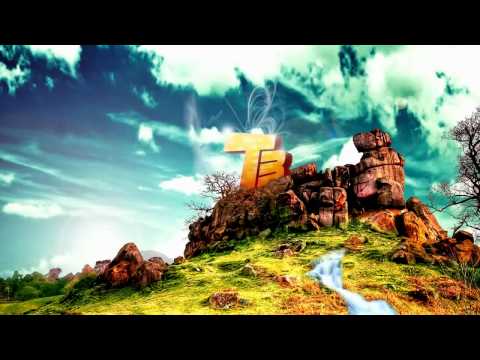 Karl Wolf ft. Wejeileh - She's So Ghetto (Vanin meets Evo Tunez Bootleg Mix) TechnoBase RIP