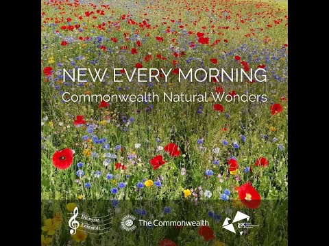 New Every Morning – Commonwealth Natural Wonders