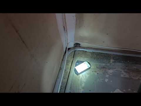 Mice Infiltrate Garage in Ewing, NJ