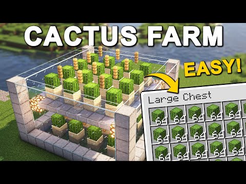 The EASIEST Cactus Farm in Minecraft 1.21 (Tutorial)