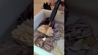 NEW technique to remove bubbles from epoxy in flower preservation