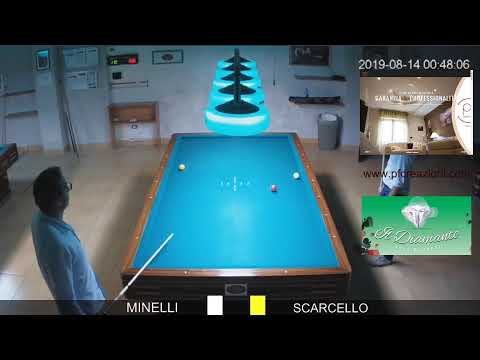 MINELLI VS SCARCELLO