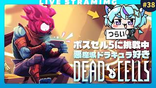 【Dead Cells】ボスセル5練習中、集中力がガチで続かない｜要ブドウ糖🍇｜38日目