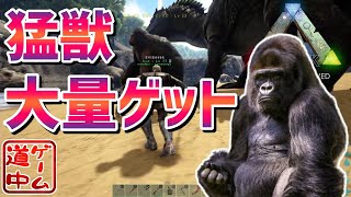 旅の途中で凶悪な猛獣達との出会い_#7【Ark: Survival Evolved】