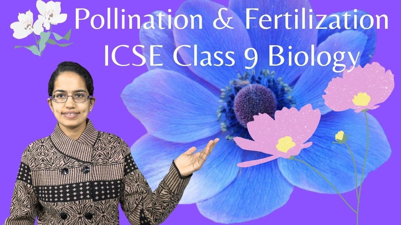 Pollination & Fertilization (Double Fertilization; Triple Fusion): ICSE Class 9 Biology