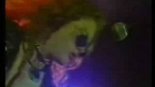 Splatterheads - Fish Biscuit