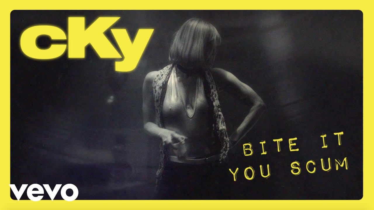 - YouTube