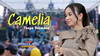 Download lagu CAMELIA - TASYA ROSMALA || LIVE.DS.LEMBAHSARI RT:03/02,JATINEGARA-.KAB.TEGAL mp3