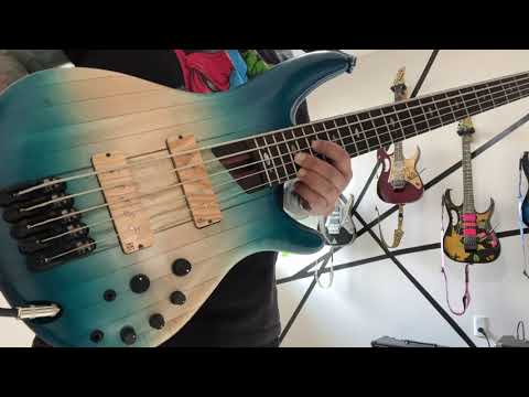 Stu Ham Bass  Solo | Live in San Francisco