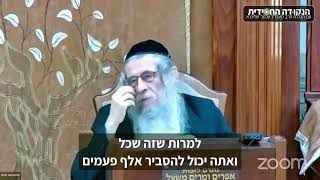 אמונה יהודים מאמינים בני מאמינים, הרב מענדל וועכטר שנת תשפ"ד