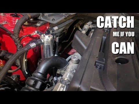 UPR Ecoboost Mustang Catch Can Install Pointers + Why Catch Cans?