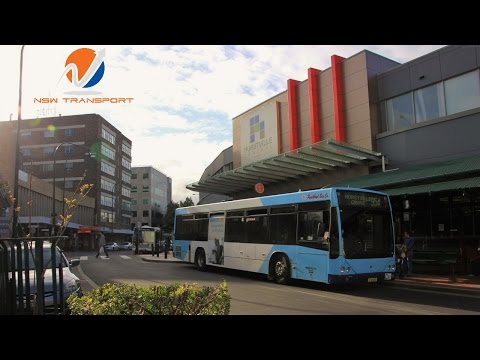 Punchbowl Bus Co m/o 4518: Scania L113CRL (ZF/Custom Coaches CB60)