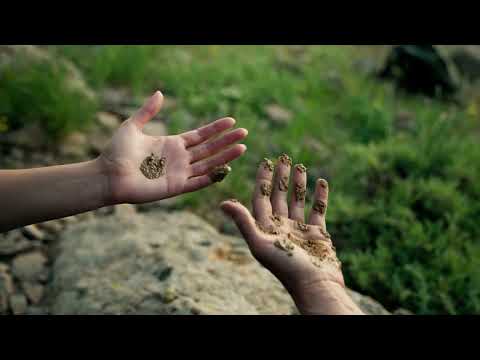 "Wild Women of Anatolia" by Sedef Özoğuz & Aslı Özoğuz | Main Competition 2025