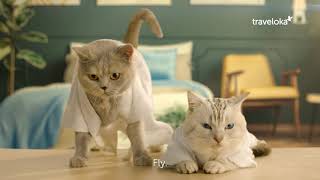 Download lagu How can cats travel this easy?? With Traveloka! mp3 Download lagu How can cats travel this easy?? With Traveloka! mp3