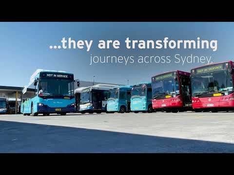 Electric buses hit Sydney's streets