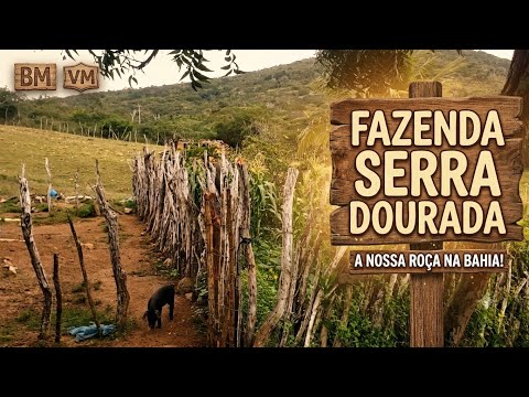 🌿 Tour pela Fazenda Serra Dourada | Bahia Raiz