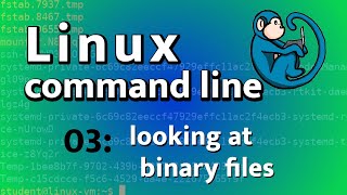 LCL 03 - looking at binary files with xxd and file - Linux Command Line tutorial for forensics