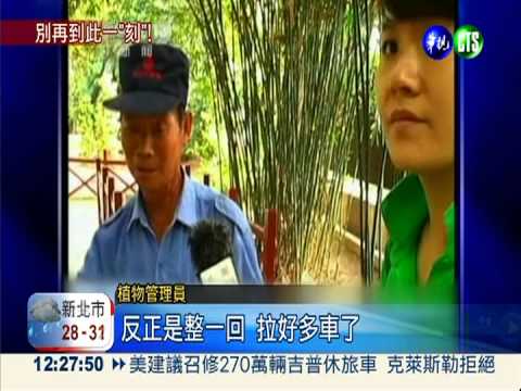 沒公德心亂刻字 珍貴植物被害死