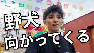 オアハカ最終日。アートの街を歩いて、メキシコの日本食へ。