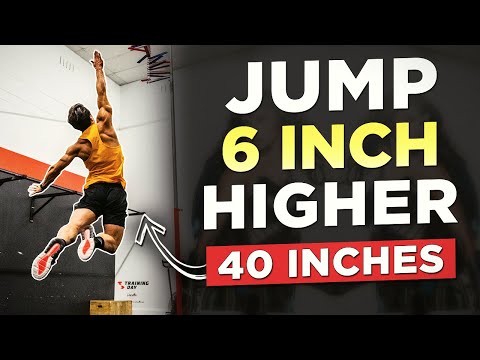 10 MIN VERTICAL JUMP WORKOUT (NO EQUIPMENT EXERCISES TO JUMP HIGHER FROM HOME!)