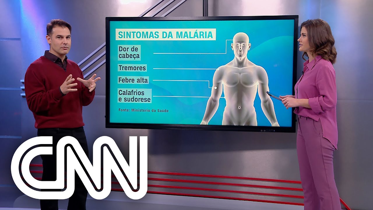 Quais são os sintomas da malária e como tratar - Correspondente Médico