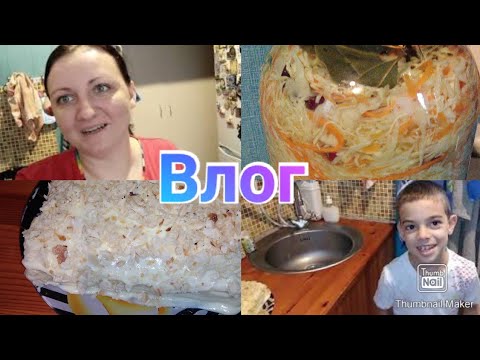 Живём в страхе / Квашеная капуста / Наполеон / Anika Z влог