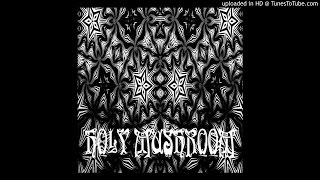 Holy Mushroom - The River Of All Your Desires