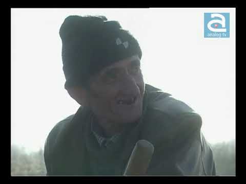 Navetistul Banatean - Tapia