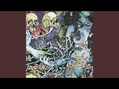 Video thumbnail for Lesser Animal