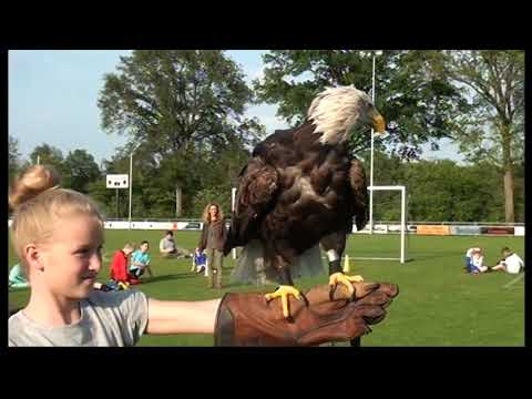 Samenvatting Sportclub Rijssen  Jeugd  Afscheid, ( 31 05 2019