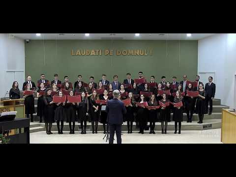 AMiCUS Timisoara/S-a nascut azi Domnul Sfant