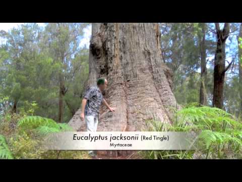 FIELD TRIP WITH PATRICK BLANC IN WESTERN AUSTRALIA