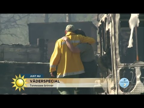 Väderspecial: Därför fick branden i Tennessee fart - Nyhetsmorgon (TV4)