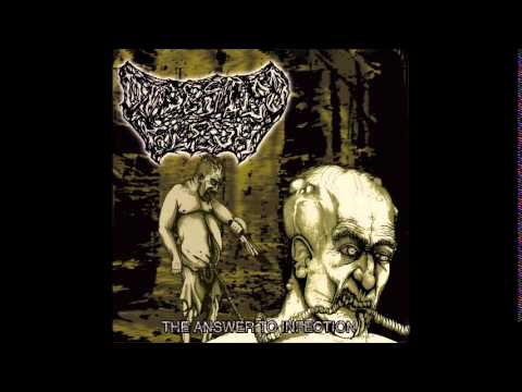 Digested Flesh  - The Answer To Infection (Full Album)