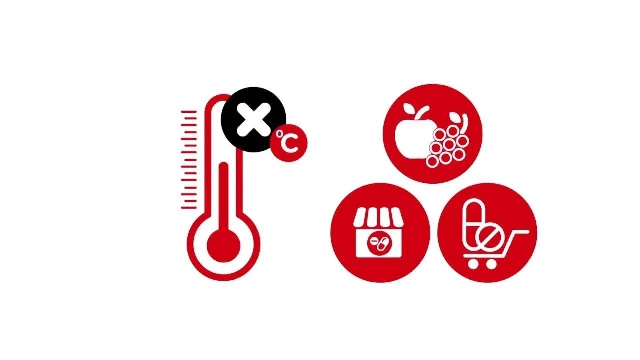 Temperature Mapping - Rotronic (EN)