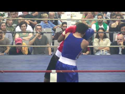 Fightnight Gebenstorf - 2019