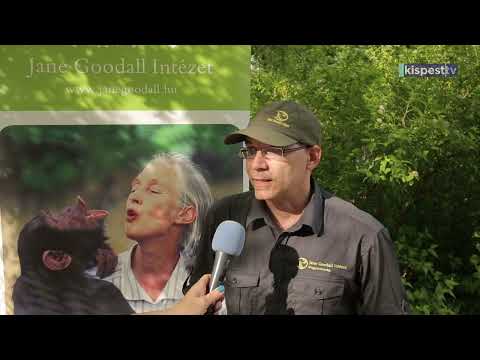 2022.05.27. Passzold vissza, tesó!