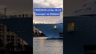 FREEDOM of the SEAS выходит из Майами #freedomoftheseas #miami #umarkeyn #cruiseship #florida