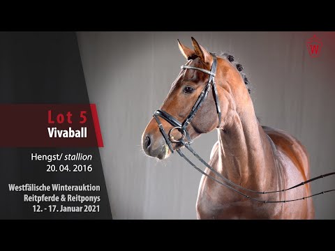 Trainingsvideo Winterauktion Lot 5 Vivaball Hengst v. Vivaldi - Fürstenball