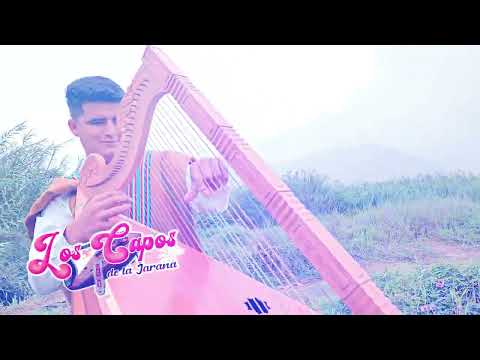 LOS CAPOS DE LA JARANA 2025  TEMA:PANPINITA